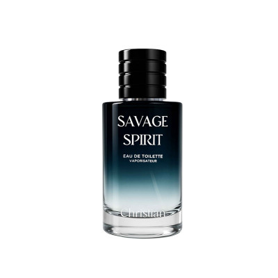 Фото SAVAGE SPIRIT EAU DE TOILETTE Men 100 ml CSB-100 